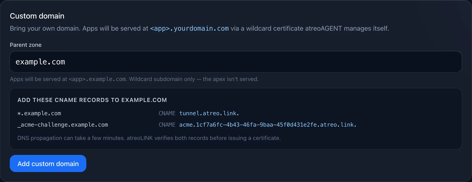 The Custom domain section in the server settings, with the parent zone input filled in and the two CNAME records to add at the registrar listed below.